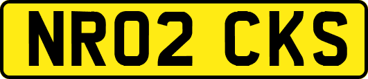 NR02CKS
