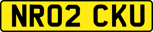 NR02CKU