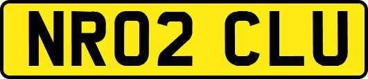 NR02CLU