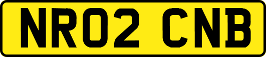 NR02CNB