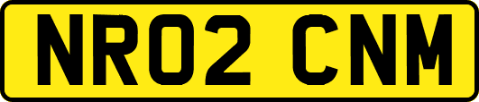 NR02CNM