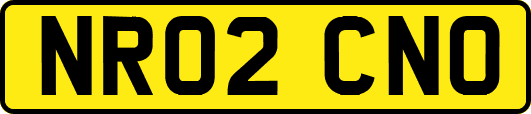 NR02CNO