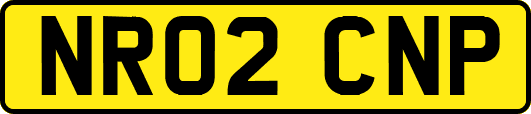 NR02CNP