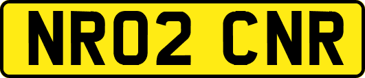 NR02CNR