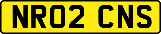 NR02CNS
