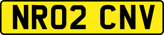 NR02CNV