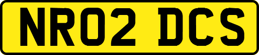 NR02DCS