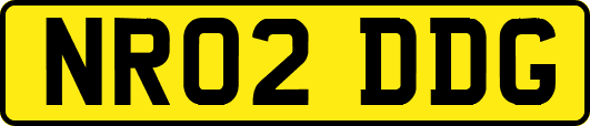 NR02DDG