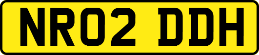NR02DDH