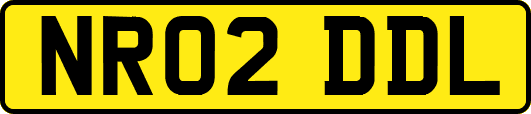 NR02DDL
