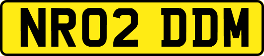 NR02DDM