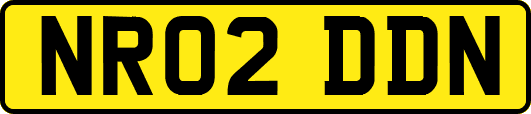 NR02DDN