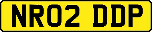 NR02DDP