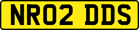 NR02DDS