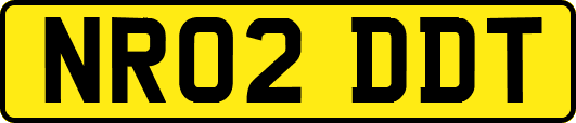 NR02DDT