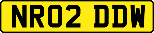 NR02DDW