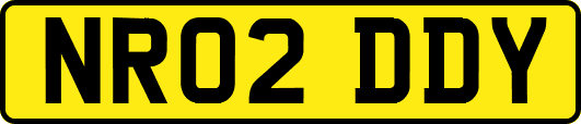 NR02DDY