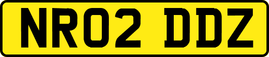 NR02DDZ