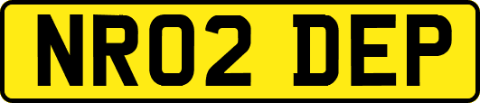 NR02DEP
