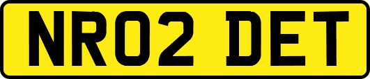 NR02DET