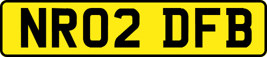 NR02DFB