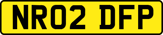 NR02DFP