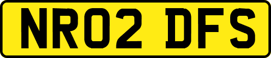 NR02DFS