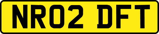 NR02DFT
