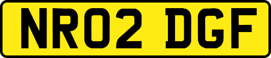 NR02DGF