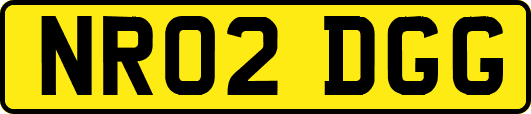 NR02DGG
