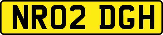 NR02DGH