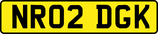 NR02DGK