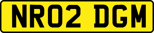 NR02DGM