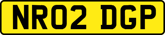NR02DGP