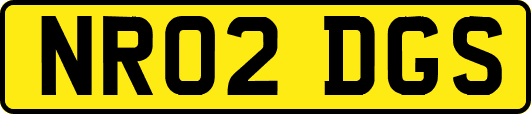 NR02DGS