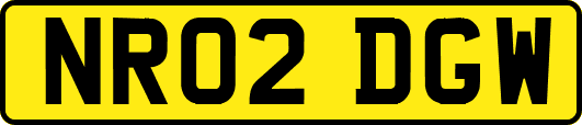 NR02DGW