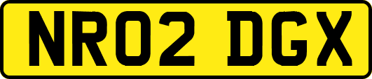 NR02DGX