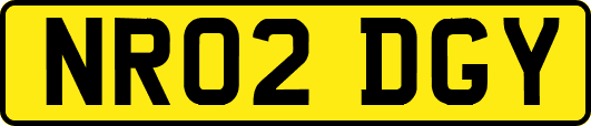 NR02DGY