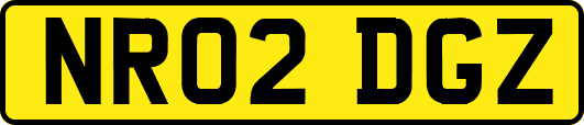 NR02DGZ