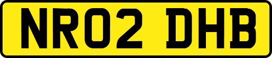 NR02DHB
