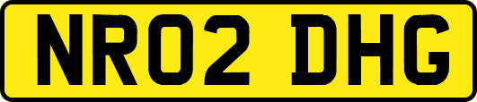 NR02DHG