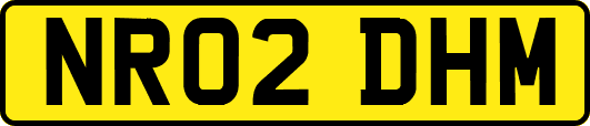 NR02DHM
