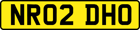 NR02DHO