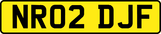 NR02DJF