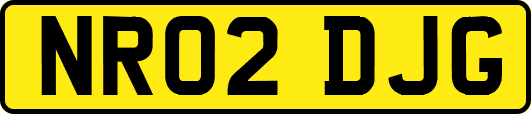 NR02DJG