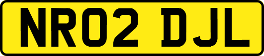 NR02DJL
