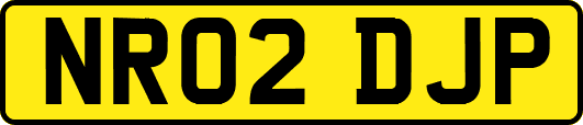 NR02DJP