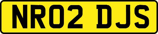 NR02DJS
