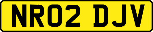 NR02DJV