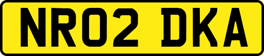 NR02DKA